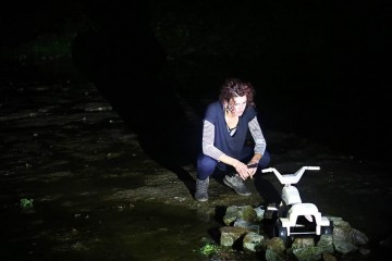 Núria Iclèsies Brack/Nau Côclea